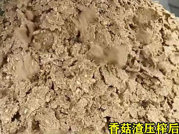 香菇壓榨機(jī)脫水 香菇壓榨機(jī)脫水